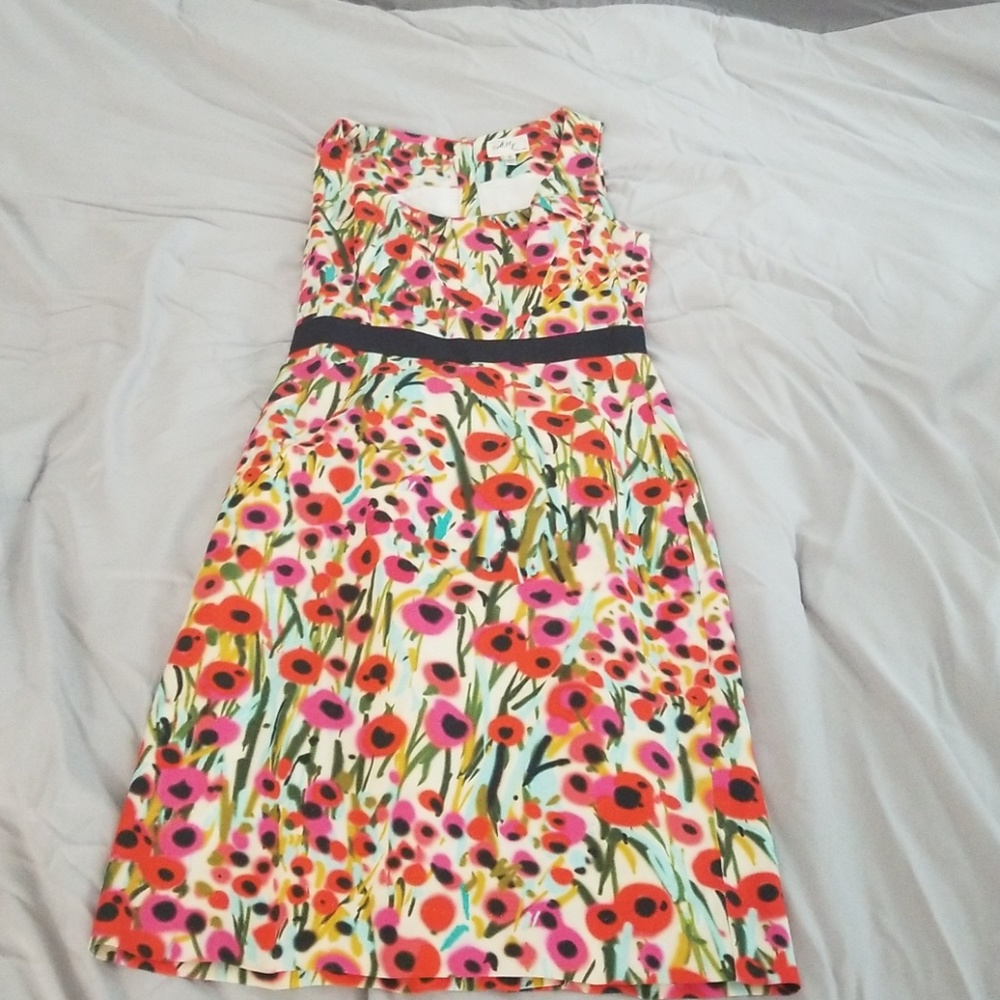 Milly floral dress